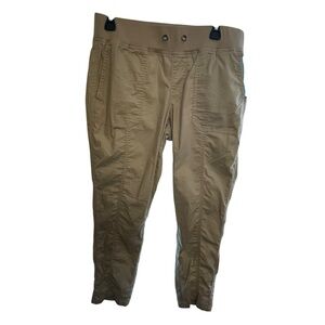 Torrid Tan Cargo Pants